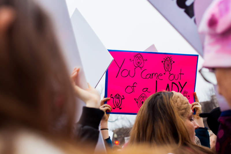 Illustration for article titled WOMEN'S MARCH ON WASHINGTON : THE SIGNS